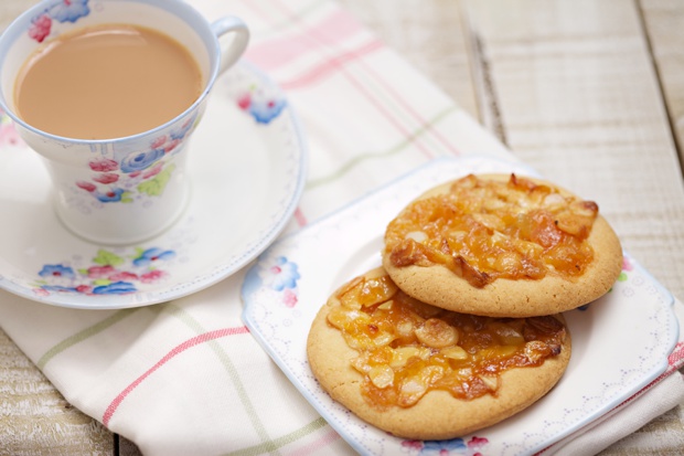 florentine cookies recipe florentine cookies recipe