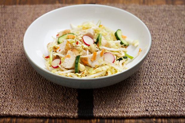 1001 chicken Salad (2)-MAIN 1001 chicken Salad (2)-MAIN